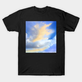 sky I T-Shirt